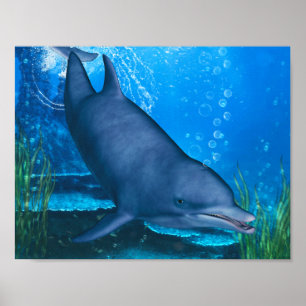 Ocean’s Smile Poster