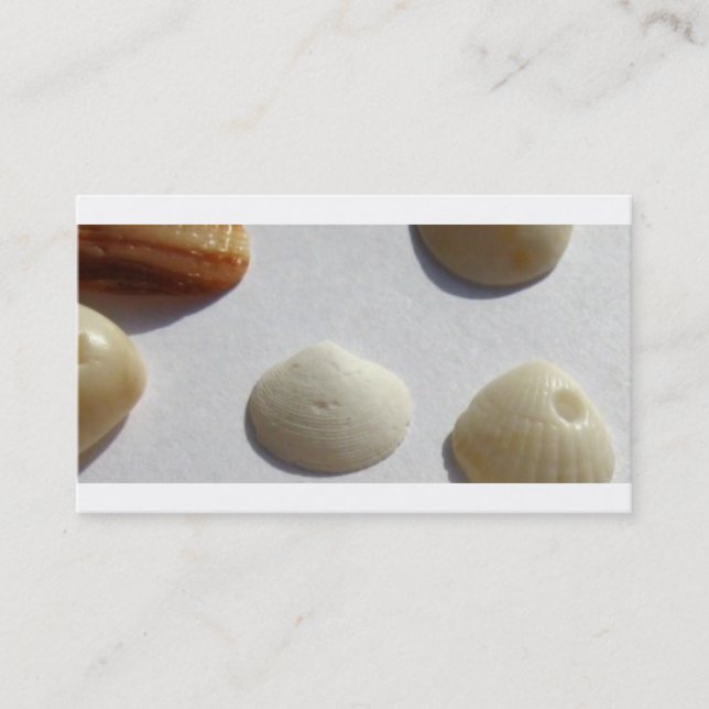 Ocean Sea Shell Business Card (Front)