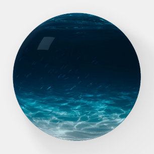 Ocean Sea Water Under the Sea Paperweight