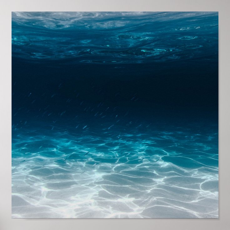 Ocean Sea Water Under the Sea Poster | Zazzle