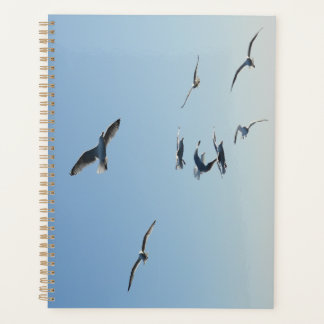 Ocean Seagulls in Flight Coastal Wildlife Planner