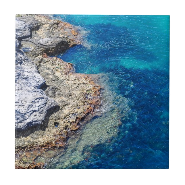 Ocean Shoal and Blue Waters Ceramic Tiles (Front)