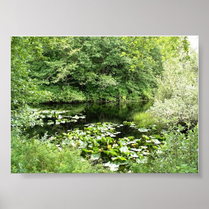 OCEAN SHORES STATE PARK  PACIFIC COAST PRINT