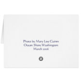 Ocean Shores Washington Cards (Back Horizontal)