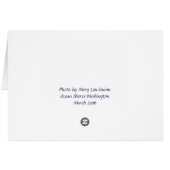 Ocean Shores Washington Cards (Back Horizontal)