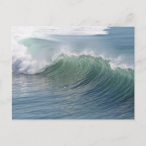 Ocean Splendor Postcard