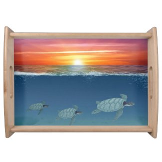 Ocean sunrise and sea turtles