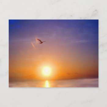 Ocean Sunset Bliss Postcard by PattiJAdkins at Zazzle