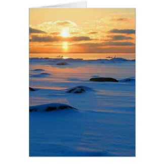 Ocean Sunset Cards