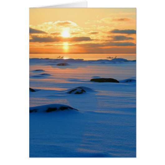 Ocean Sunset Cards (Front)