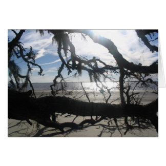 Ocean Sunset Cards