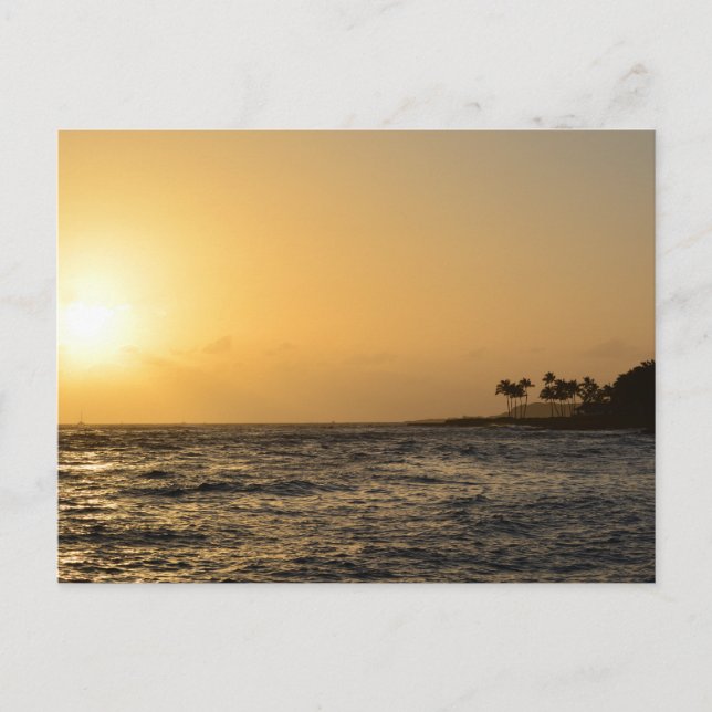 Ocean Sunset in Kauai Postcard (Front)