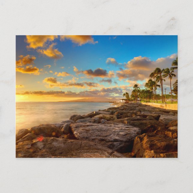 Ocean Sunset Over Rocks And Palm | O'Ahu Postcard (Front)