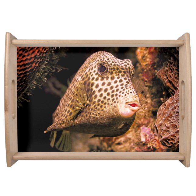 Ocean Theme Large Serving Tray (Front)