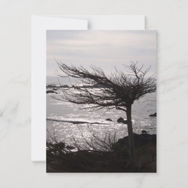 Ocean Tree Bible Verse Encouragement Card (Front)