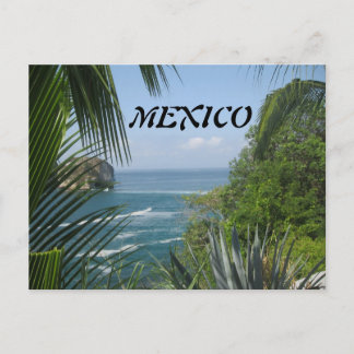 Ocean Trees Postcard