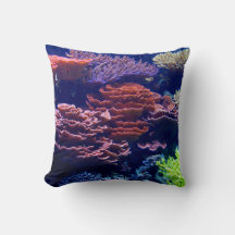 Ocean under water, sea life, real image