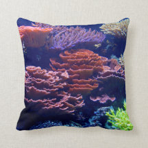 Ocean under water, sea life, real image