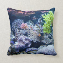 Ocean under water, sea, real image