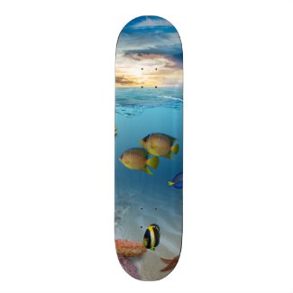 Ocean Underwater Coral Reef Tropical Fish Skateboard