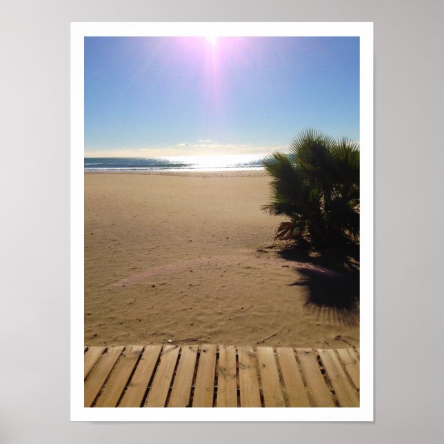 Ocean View, Beach, Palm Tree, Boardwalk Poster (Front)