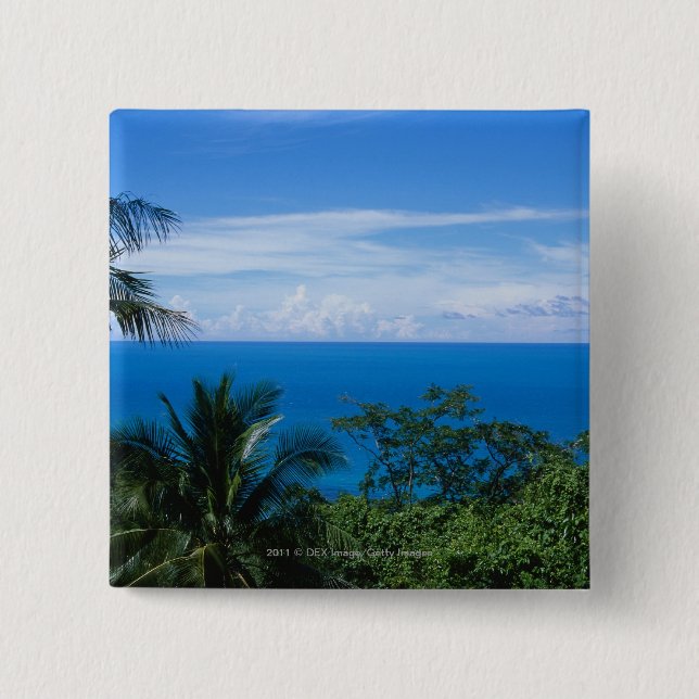 Ocean view button (Front)