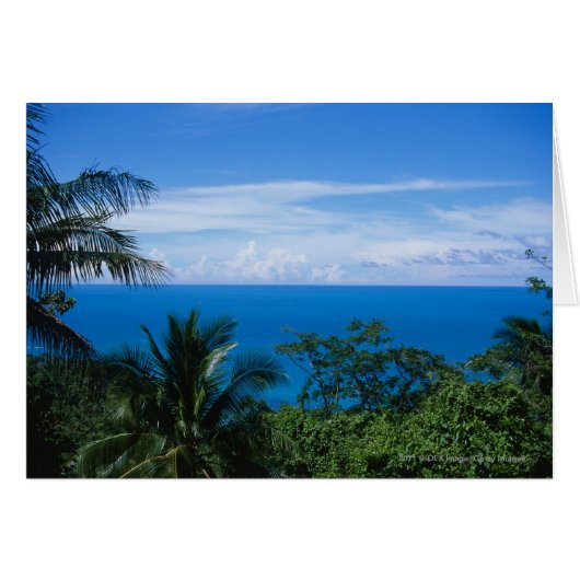 Ocean view cards (Front Horizontal)