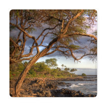 ocean view Maui, Hawaii