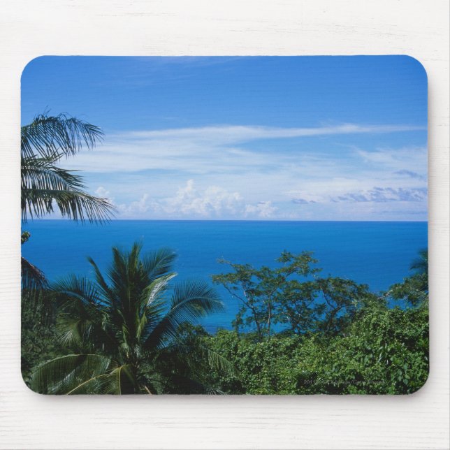 Ocean view mouse pad (Front)