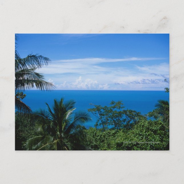 Ocean view postcard (Front)