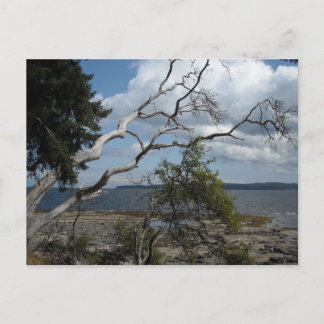 Ocean View Postcard