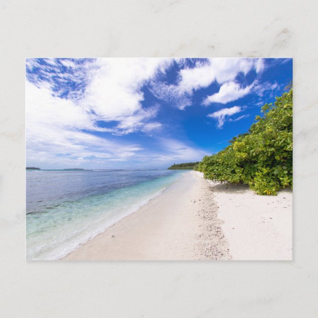 Ocean View Postcard (Front)