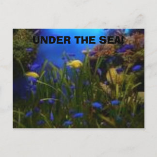 ocean view, UNDER THE SEA! Postcard