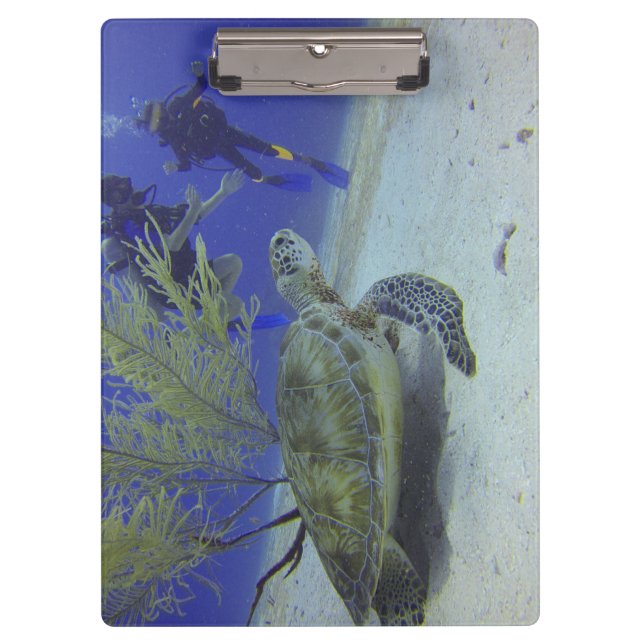 Ocean Wildlife Clipboard with Sea Turtle Image (Front)