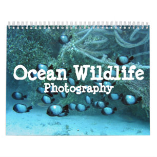Ocean Wildlife Photography Calendar