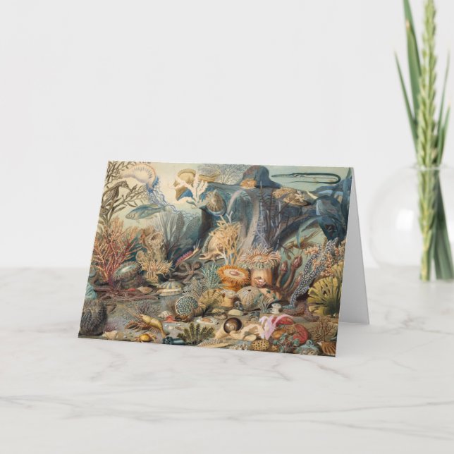 Ocean World, Under the Sea, Nautical   Thank You Card (Front)