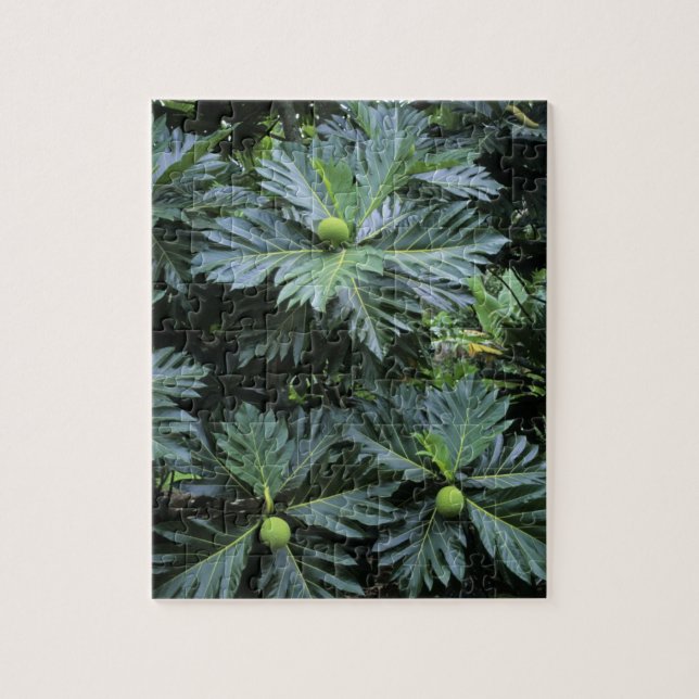 Oceania, South Pacific, French Polynesia, Jigsaw Puzzle (Vertical)