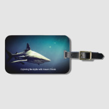 Oceanic Blacktip Shark Underwater