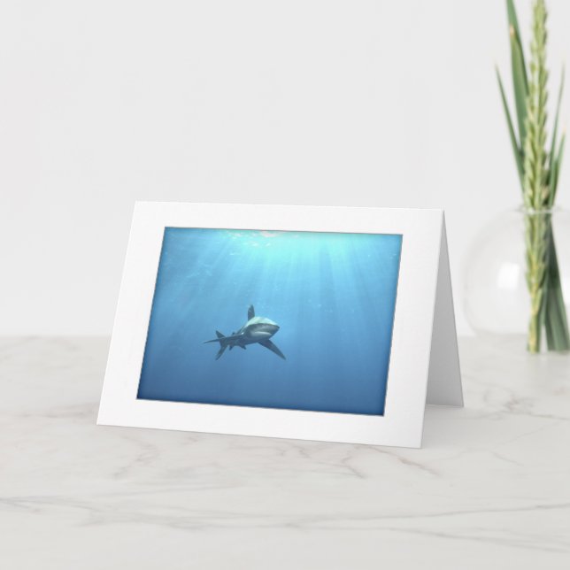 Oceanic Whitetip Shark Greeting Card (Front)