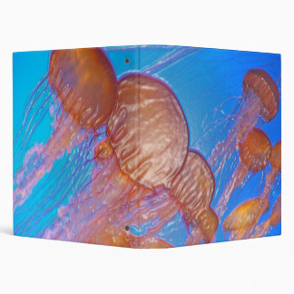 Oceans Ballet Binder