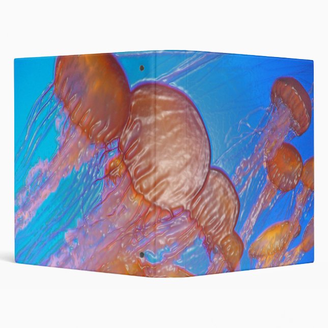 Oceans Ballet Binder (Background)