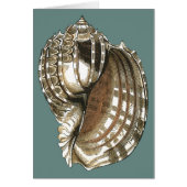 Ocean's Jewel (Front)