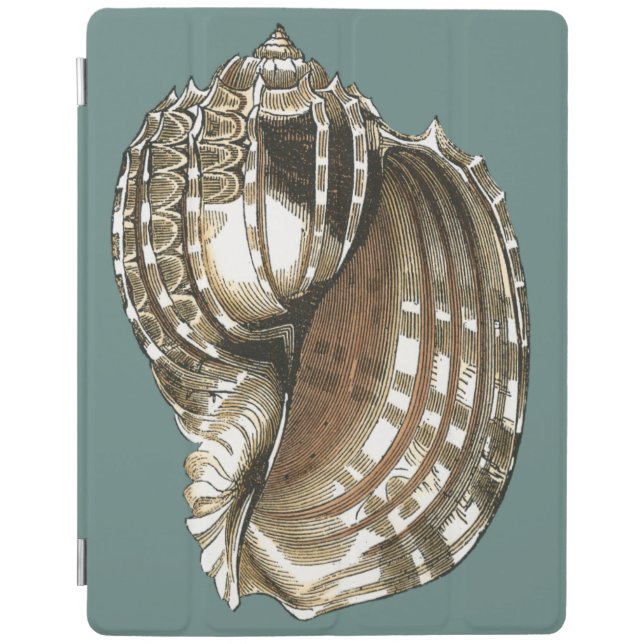 Ocean's Jewel iPad Smart Cover (Front)