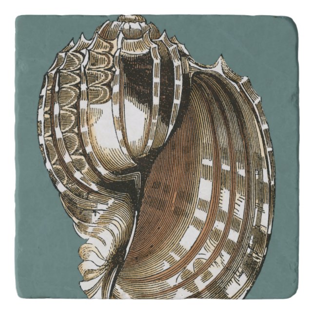 Ocean's Jewel Trivet (Front)