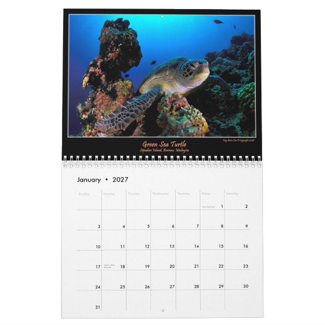 Oceans Of Color Calendar (Jan 2027)