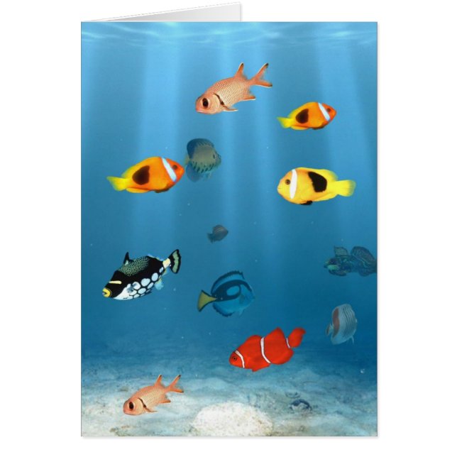 Oceans Of Fish Cards (Front)