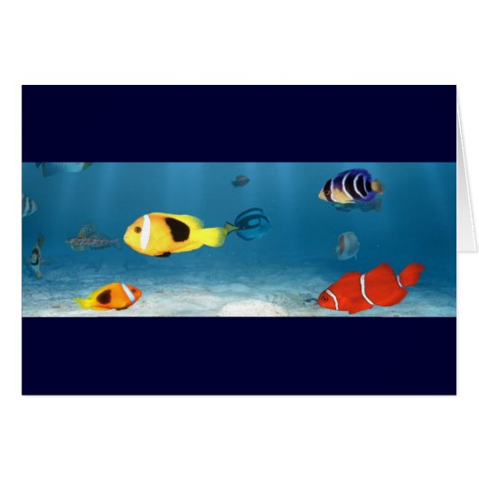 Oceans Of Fish Cards (Front Horizontal)