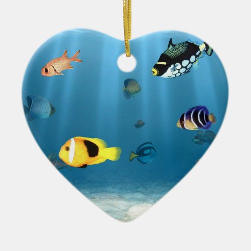 Oceans Of Fish Ceramic Ornament