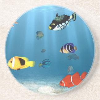Oceans Of Fish Drink Coaster