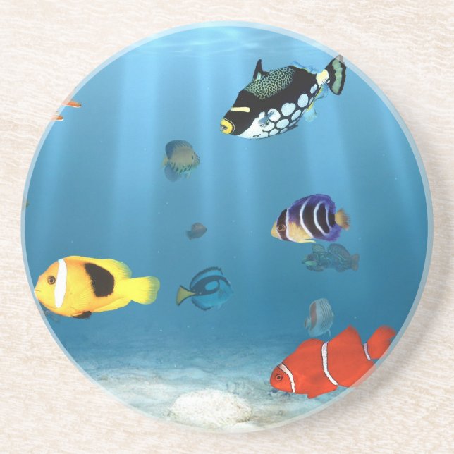 Oceans Of Fish Drink Coaster (Front)